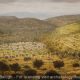 Nazareth, Looking Southeast - Archaeology Illustrated
