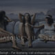 Memories - Archaeology Illustrated