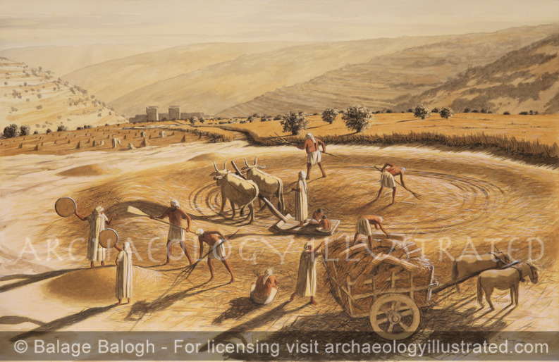 Arauna’s Threshing Floor North of the City of David, on the Future Temple Mount, which King David Will Purchase to Built an Altar, 10th Century BC - Archaeology Illustrated