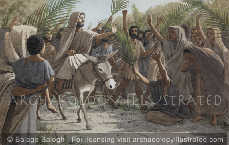 Jesus on Palm Sunday, Jesus’s Triumphant Entry into Jerusalem, Luke 19:28-44 - Archaeology Illustrated
