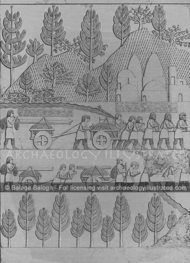 Assyrian Stone Relief of Workers in Countryside, Nineveh SWPalace, 8th Century BC - Archaeology Illustrated