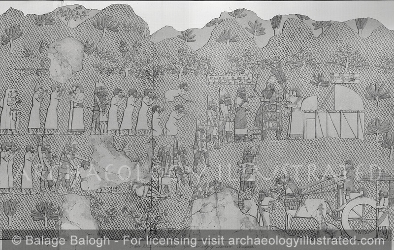Assyrian Stone Relief of the Siege of Lachish by King Sennacherib, Nineveh, SWPalace, 690 BC - Archaeology Illustrated