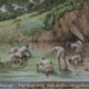 Harod Spring  and Gideon’s Fighters, at Mt Gilboa (Judges 7) - Archaeology Illustrated