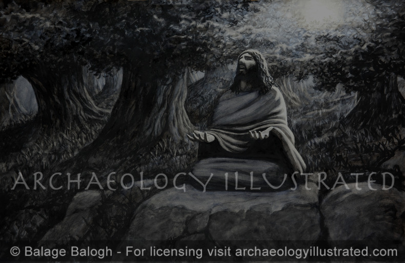 Jesus Praying in the Olive Grove of Gethsemane on the Mount of Olives on Passover Night - Archaeology Illustrated